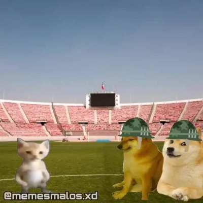 Dogy style