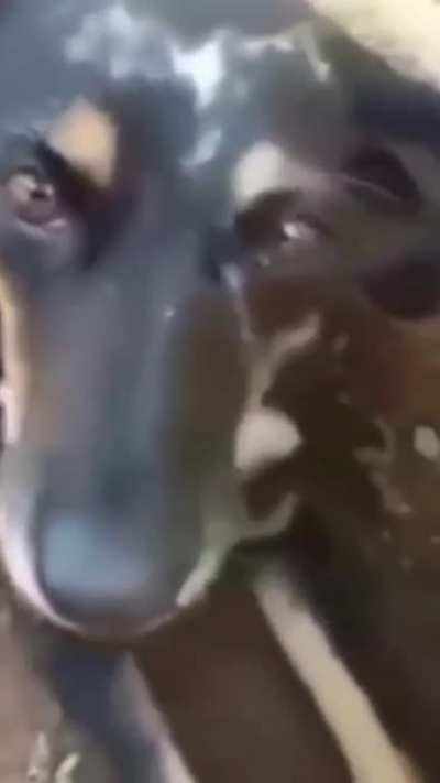Kkkkk