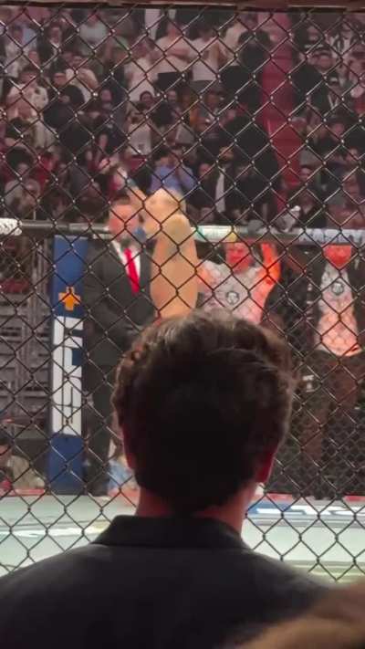 UFC 214