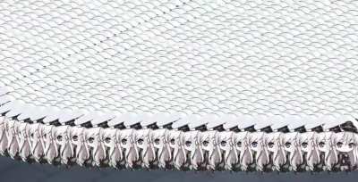 Just a bunch of Entys marching