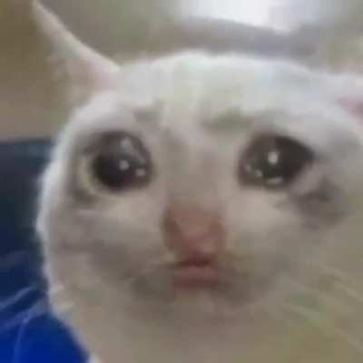 Cursed dame dame