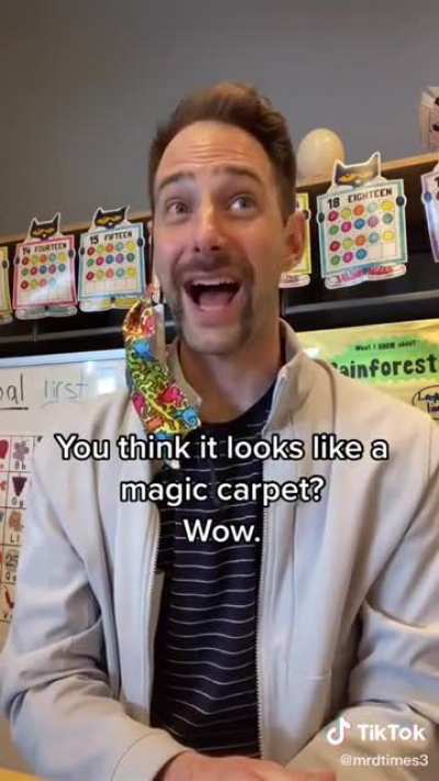 Kindergartners do not like their teacher’s facial hair