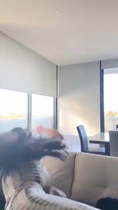 🔆
