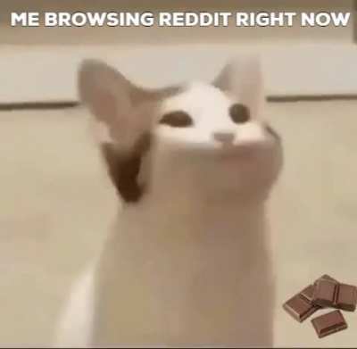 Delicious Finally some good tasting memes