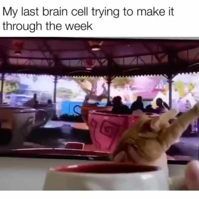 Me irl