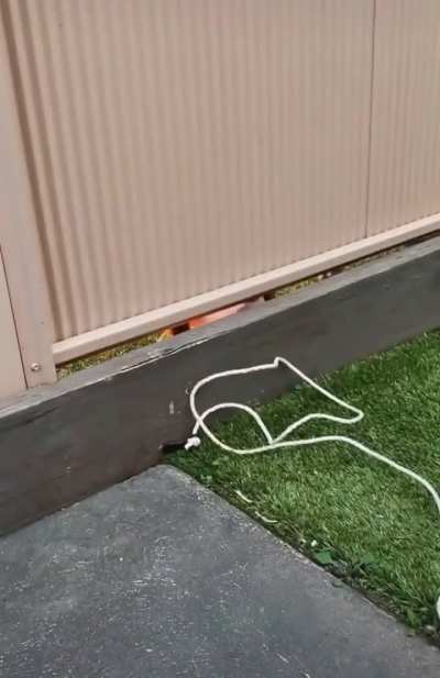 had a li’l bite!