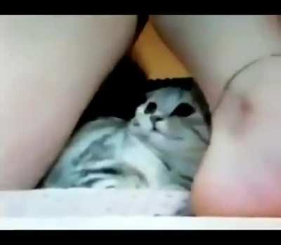 ЪУЪ, сука! Какого хрена?