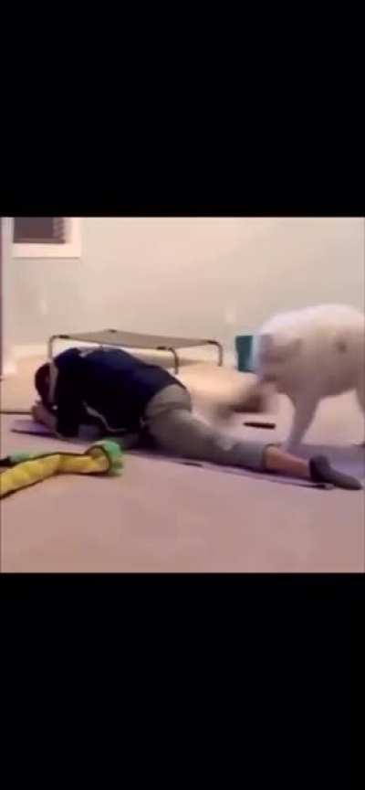 The first moment he is saying namaste, the other moment he is saying no more master