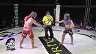 Live sticks in an MMA octagon