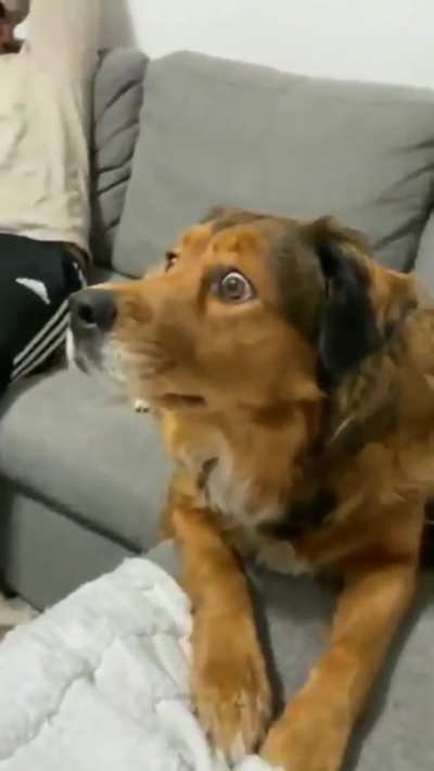You see that squirrel