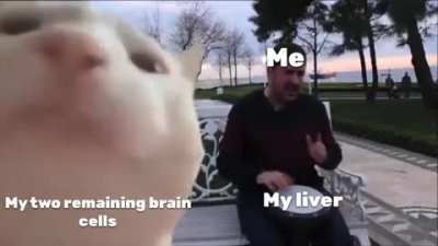 2meirl4meirl