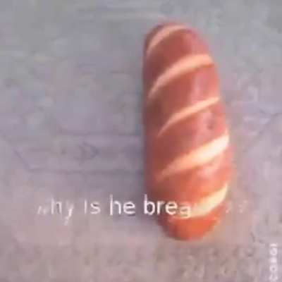 [Haiku] Why is he bread???