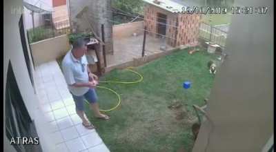 Senhor O Que Aconteceu? Então Eu Fui Tentar Matar Umas Baratas E...