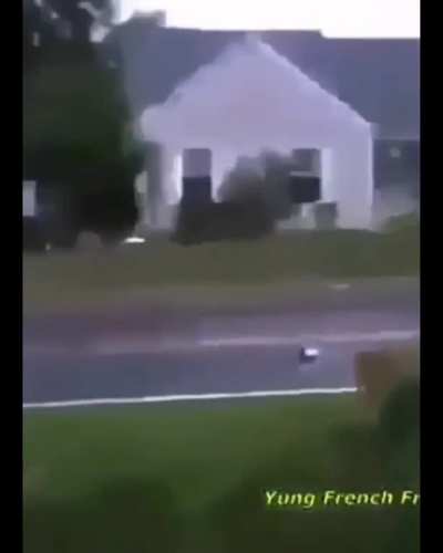 Xd