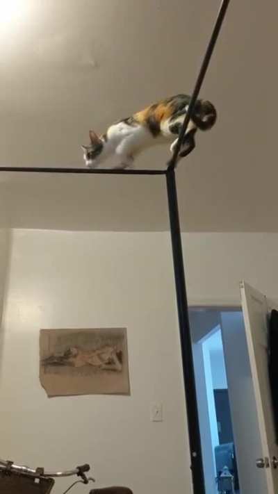 Maybe Maybe Maybe