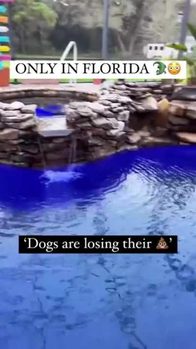 Florida...