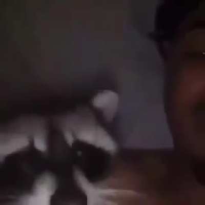 bejokero
