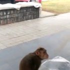 Hey I wanna get out!