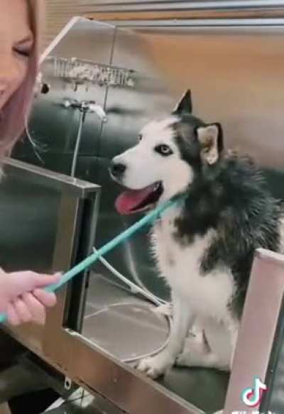Tug for AAAAAAA
