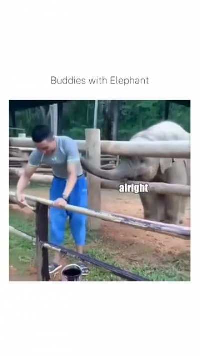 Cute elephant friend, Jeannie will love this