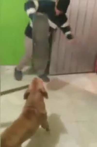 Doggus, the not so good boy