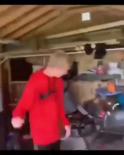 Clam destruction 