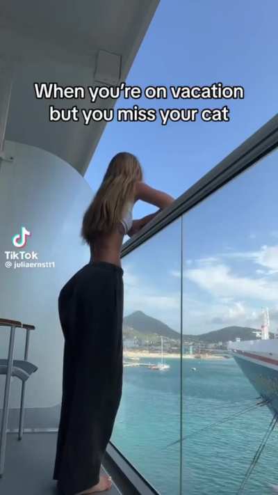 bella poarch deleted tiktok poking fun at julia ernst’s body checking; julia ernst deleted comment denying body checking a month prior