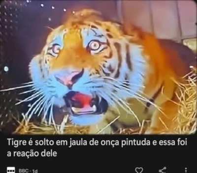 :O