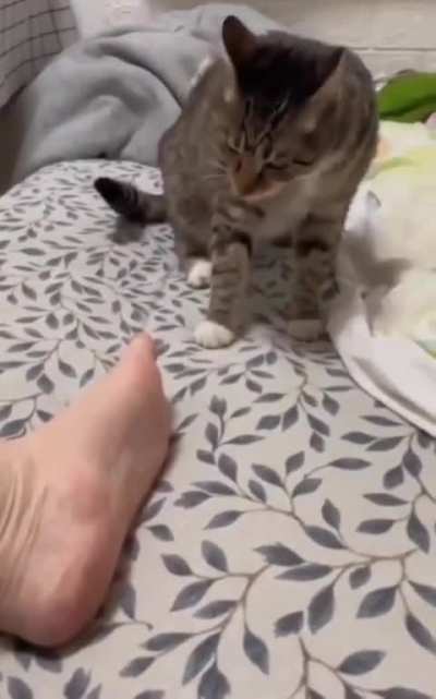 can i eat this?