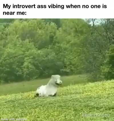 They see me vibing, they hating