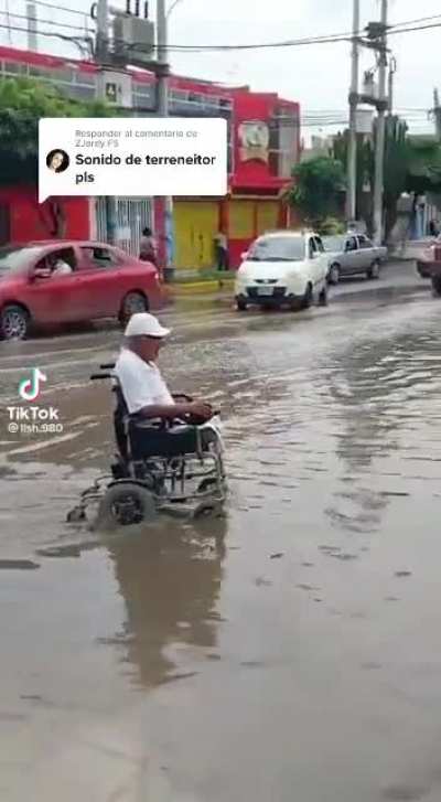Terreneitor