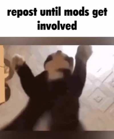 ‎