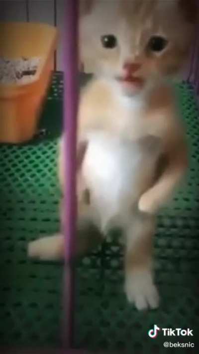 Pana miguel? 😳