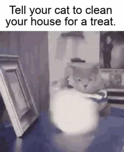 You just need to train your cat, she will do it.