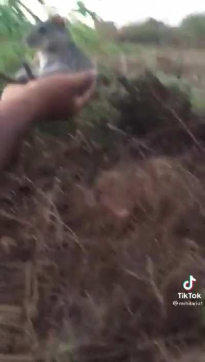 rato sentado???
