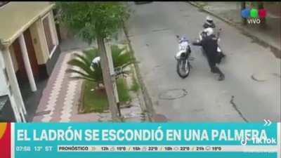 Ladron se intenta esconder, sale mal