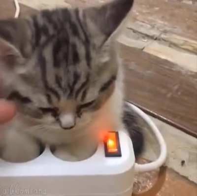 He's charging!