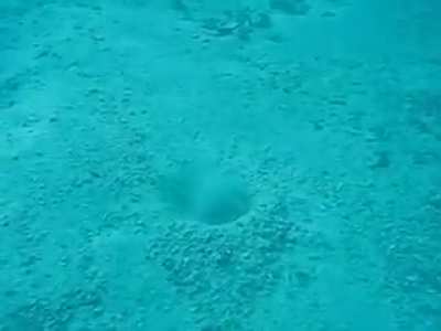 Фокус с исчез<wbr>новен<wbr>ием