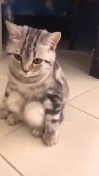 Why does she sit like us?
