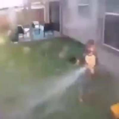 shitposting - Video #7374
