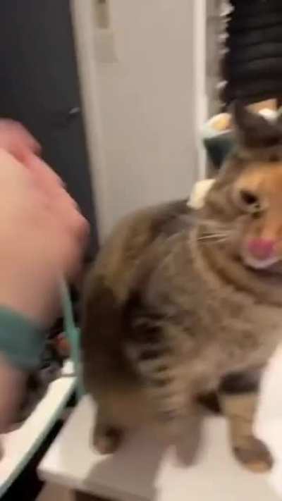 Love bites