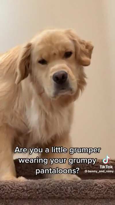Are you grumpy?