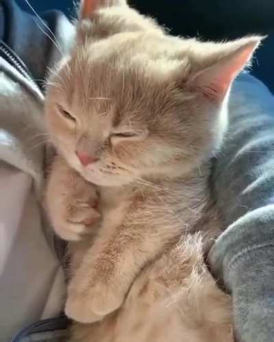 Sleepy