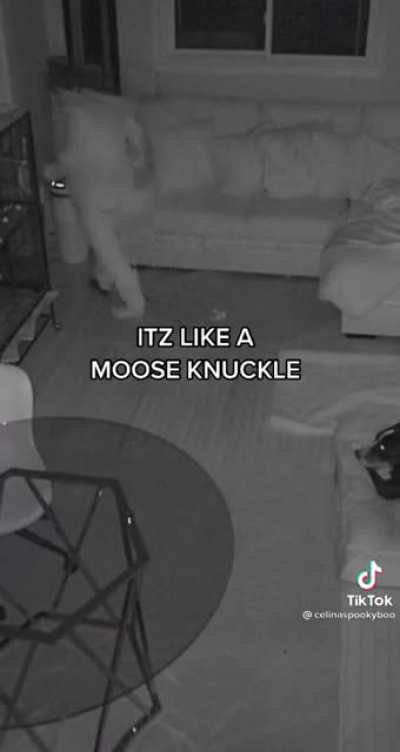 Woman films herself sleepwalking and excitedly feeding canned drinks to her front lawn in the snow.