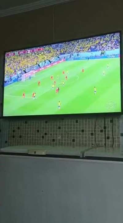 Brazil's goal