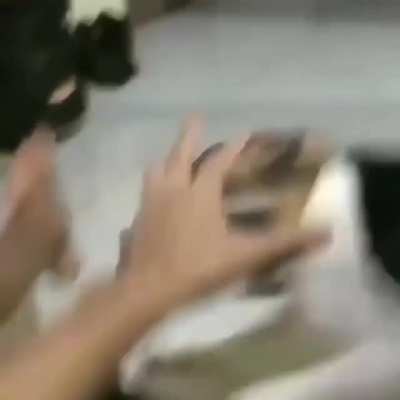 Doggo