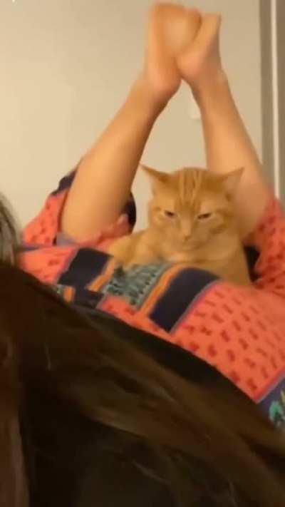 Kitty is not amused