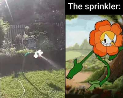The most intense garden sprinkler.