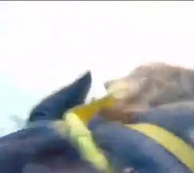 Taking a dip while parasailing