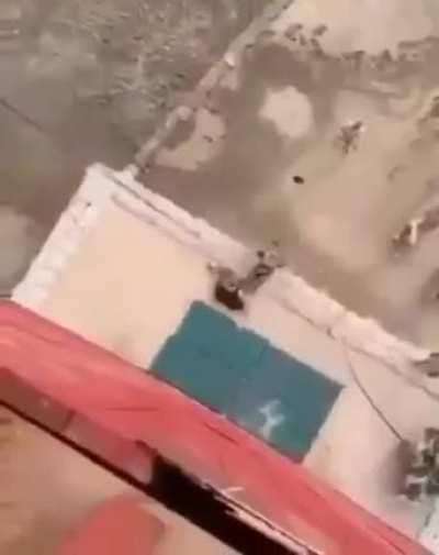 Первый готов